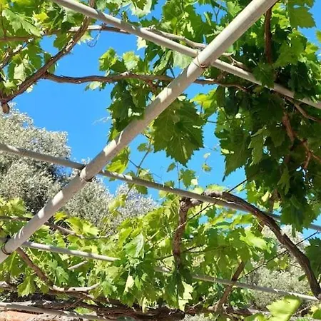 Дом отдыха Kefalonia Alexis House