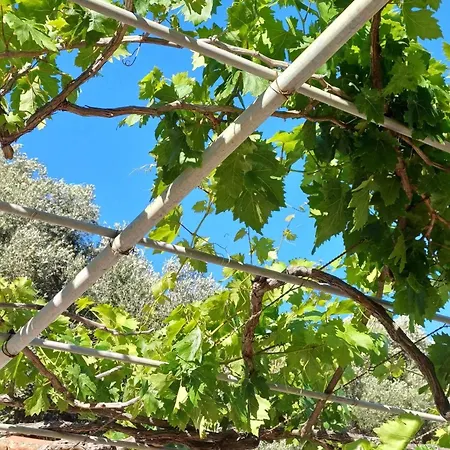 Kefalonia Alexis House Дом отдыха *