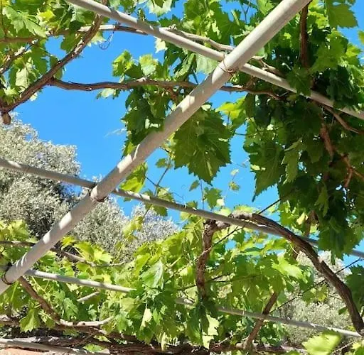 Nyaraló Kefalonia Alexis House