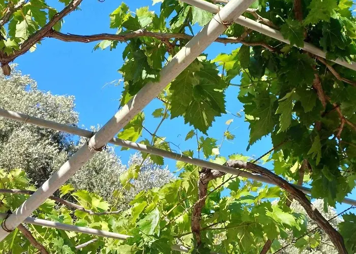 Kefalonia Alexis House Nyaraló *